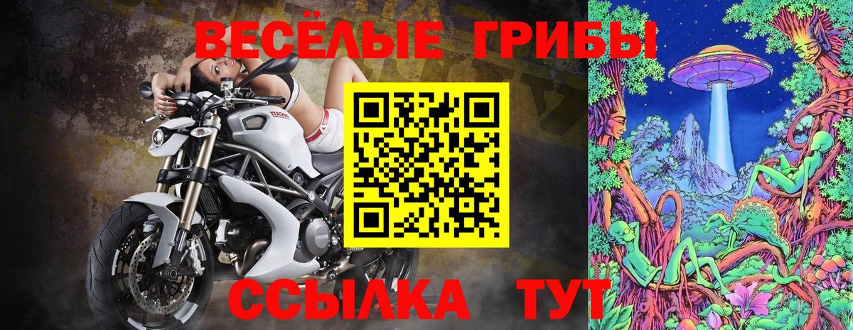 Псилоцибиновые грибы прущие грибы  Вход с VPN  Кулебаки 