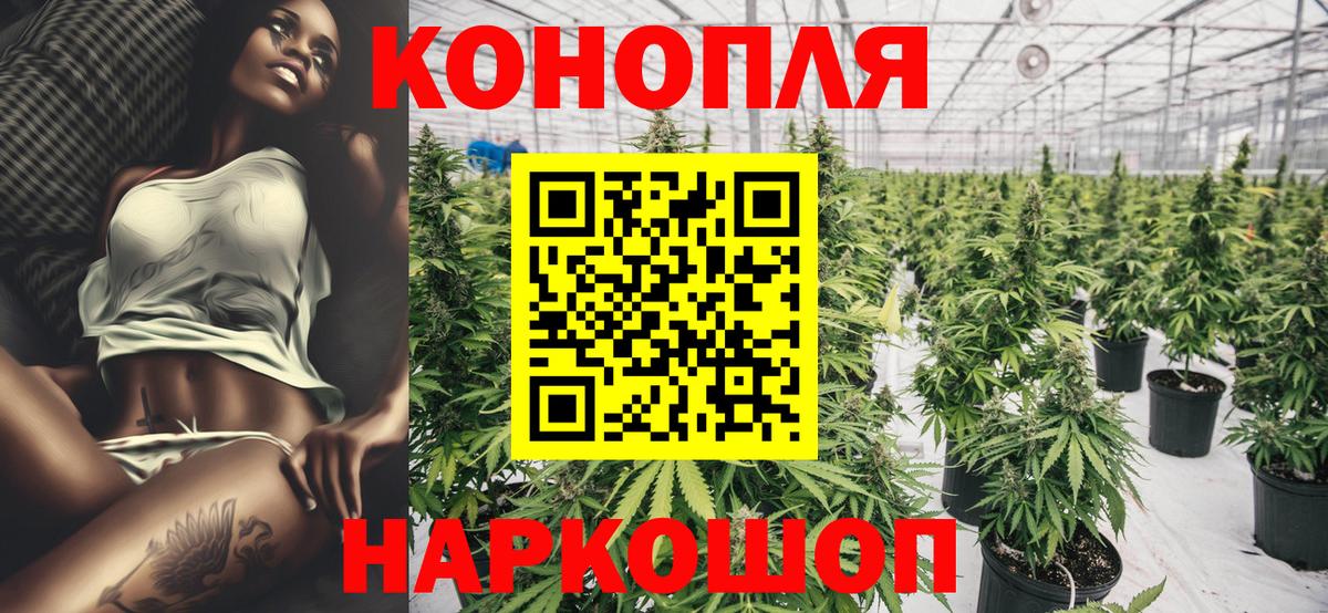 Канабис конопля Кулебаки